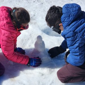 inbound1006420851359651921 - Ricardo Bomfim (2)